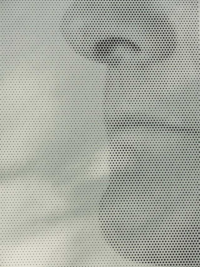 ANNE-KARIN FURUNES, Christen Sveaas, 2003. Photo: Einar Aslaksen