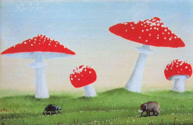 NAVITROLLA, Confusion in Mushroom Forest, 1999