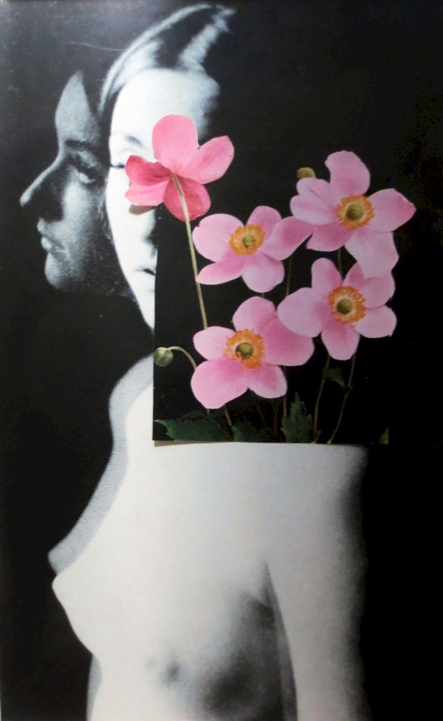 JENNIFER MURPHY, Untitled (collage), 2015. From a body of work that combined vintage images of nude women (usually from instructional photography manuals) with flowers and plants