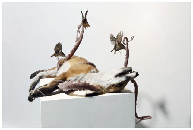 POLLY MORGAN, Harbour, 2012. Courtesy the artist