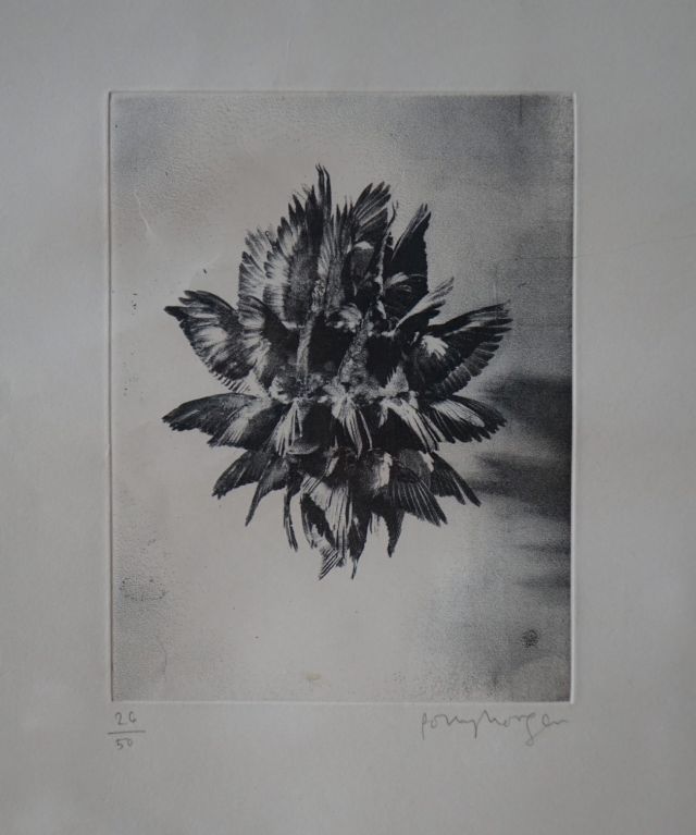 POLLY MORGAN, Blue Fever, 2010