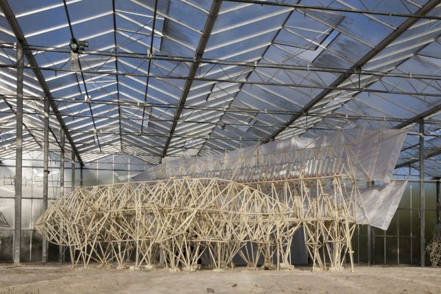 THEO JANSEN, Animaris Precipere Primus. Photo: Tineke Schuurmans