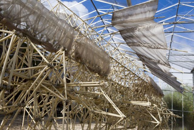 THEO JANSEN, Animaris Precipere Primus. Photo: Tineke Schuurmans