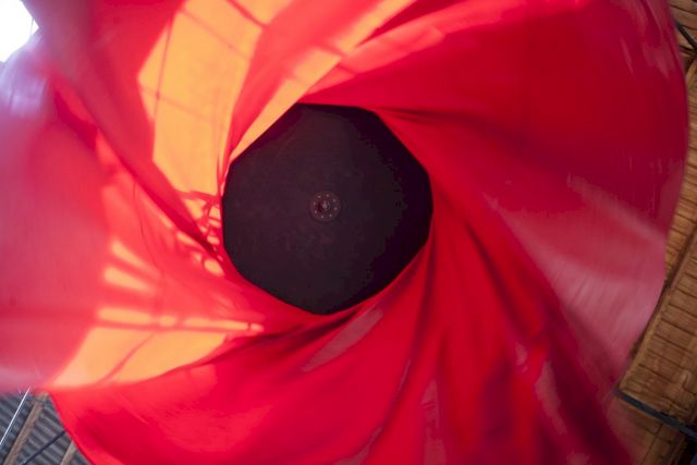 ZORO FEIGL, Poppy, 2010. Photo: Tineke Schuurmans