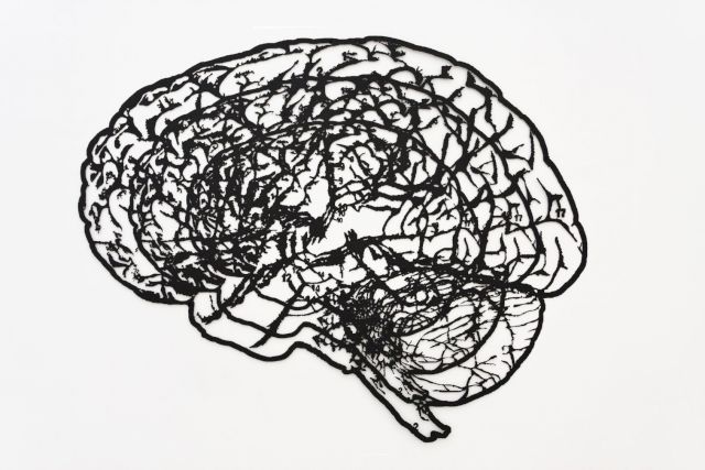 PRAVDOLIUB IVANOV, A Thought Within a Thought Within a Thought, 2008