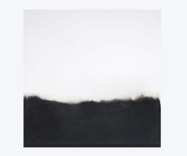 MICHEL FRANÇOIS, Contamination, 2009