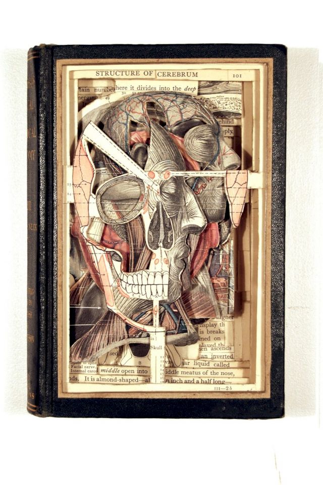BRIAN DETTMER, Manual of Practical Anatomy Vol 3, 2007. Courtesy the artist