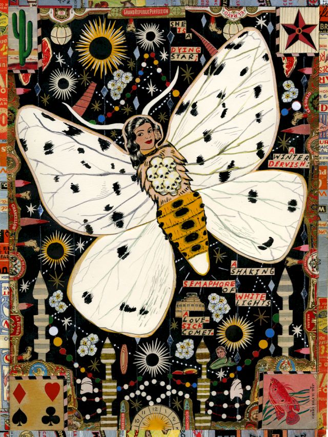 TONY FITZPATRICK, The December Moth, 2010. Courtesy the artist