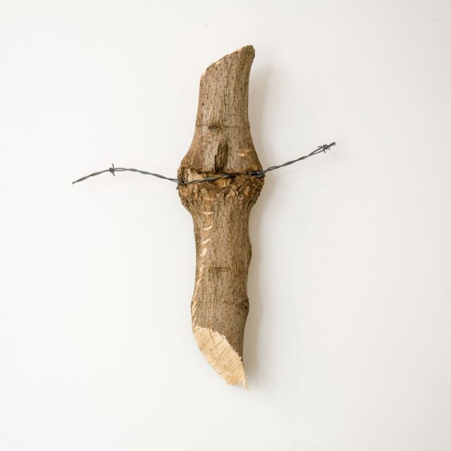 CHARLES HARLAN, Tree, 2014. Courtesy the artist and M WOODS