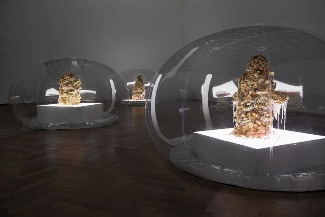 ANICKA YI, ALZ/AZN, 2015. Courtesy the Rubell Family Collection, Miami