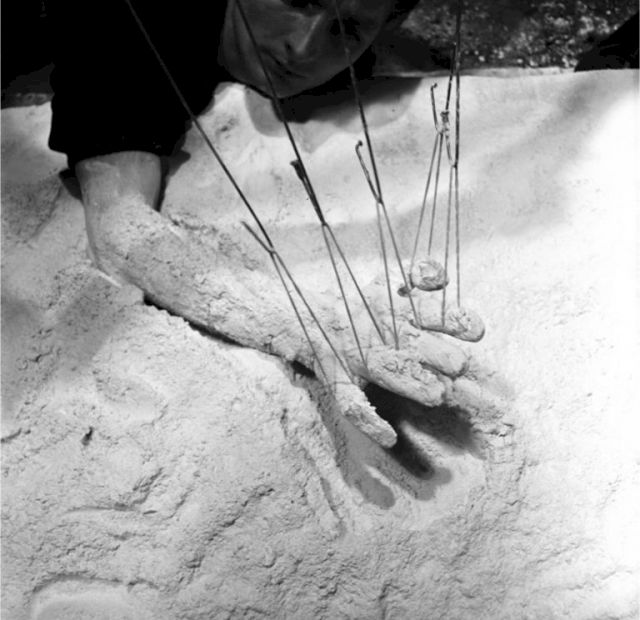 GÜNTER BRUS, Starrkrampf, 1965 / 2010. ourtesy the Office Gallery