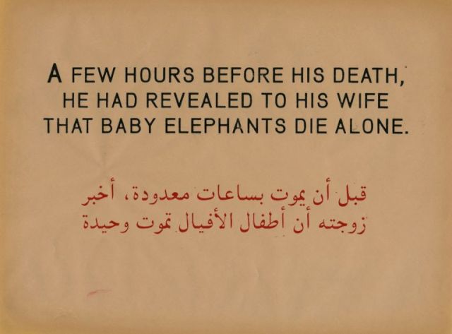 BROOMBERG & CHANARIN, The Prestige of Terror, 2010. © Broomberg & Chanarin