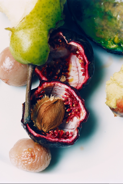 WOLFGANG TILLMANS, Peach, 2001