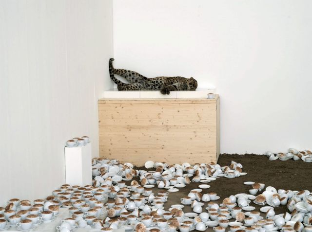 AOLA PIVI, Don''t disturb me, 2009. Courtesy Videoinsight® Collection