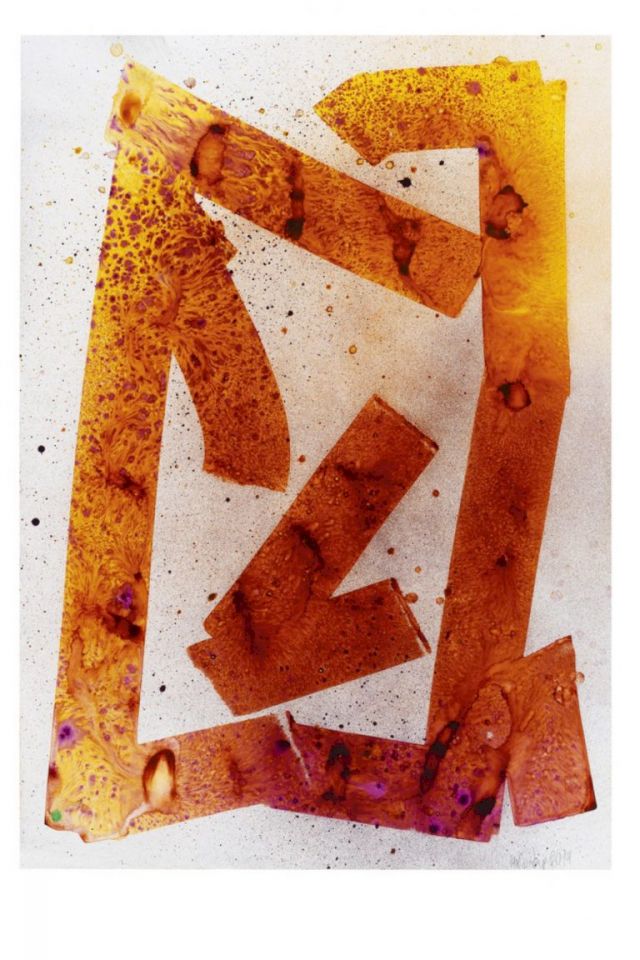 MAX FRINTROP, Untitled, 2014