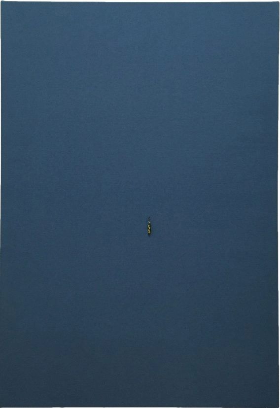 SAM FRANCIS, SF-50S, 1974-1976