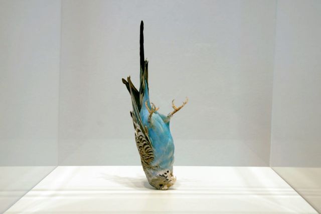 VIA LEWANDOWSKI, Hansi Goes Down, 2009. Photo: Marianne Obst