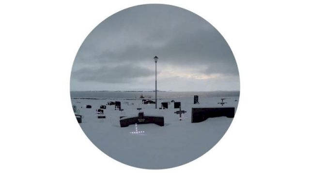 PUCK VERKADE, Solitary Company, 2015. Courtesy the artist and Dürst Britt & Mayhew, The Hague