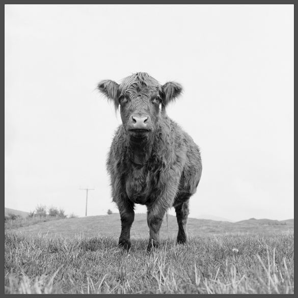 URSULA BÖHMER, All Ladies - Highland, 2011. Courtesy the artist