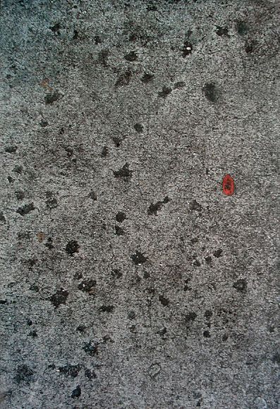 ZOE LEONARD, Bubblegum # 7