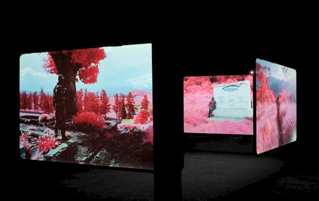 Richard Mosse, ’The Enclave’, 2013. Courtesy the artist