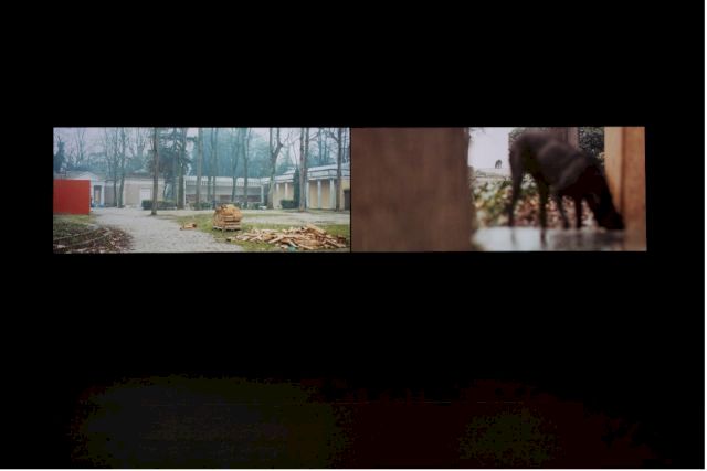 Exhibition view - ‘Gardini’ (2009) Steve Mcqueen at Museum of Contemporary Art Helga de Alvear. Photo: Joaquín Cortés