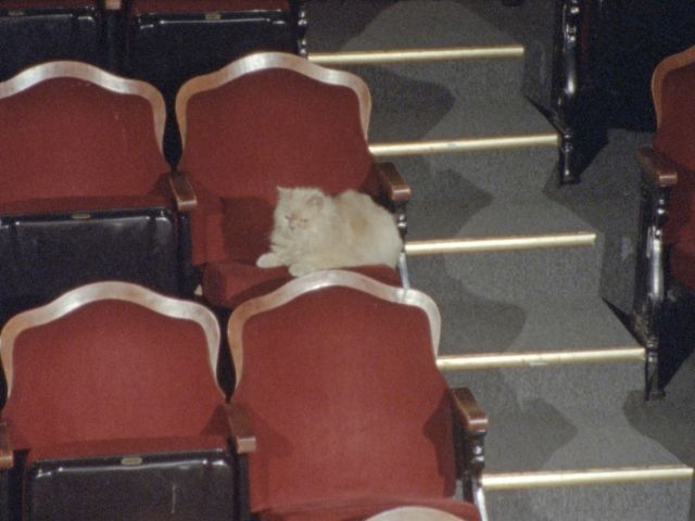 THEATER, episode 2, Calla Henkel and Max Pitegoff, film still, 2024. Courtesy the artists.