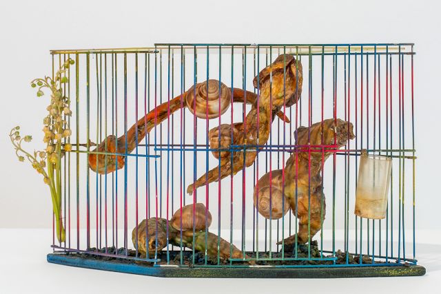 Installation view: Tetsumi Kudo, 'Sans titre', 1974. Collection de Bruin-Heijn. Photo by Lais Pereira