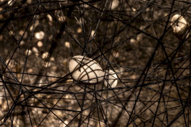 Chiharu Shiota, 'In the beginning was…', Site specific. © Fundació Sorigué, 2021
