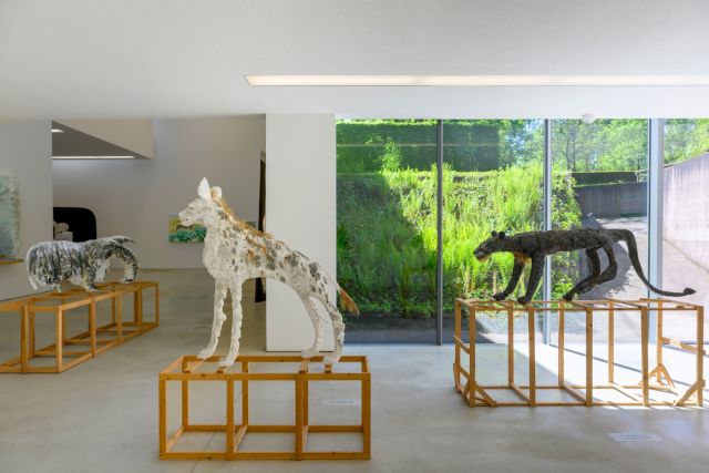 Installation view, solo exhibition by Lin May Saeed, 'The Herd at the Watering Hole', 11 May - 24 August 2025. Photo by Peter Cox