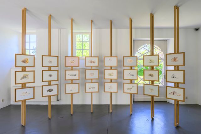 Installation view, solo exhibition by Gladys Zeevaarders, 'Il y avait un Jardin', 11 May - 24 August 2025. Photo by Peter Cox