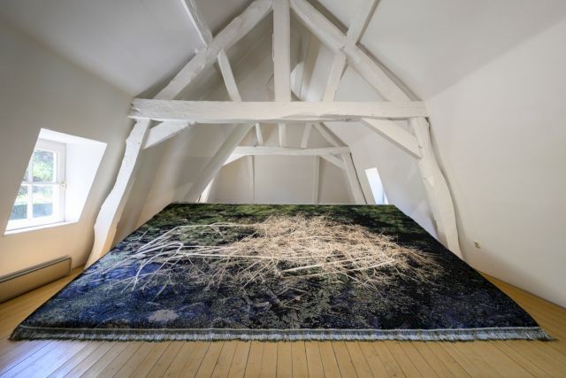 Installation view, solo exhibition by Gladys Zeevaarders, 'Il y avait un Jardin', 11 May - 24 August 2025. Photo by Peter Cox