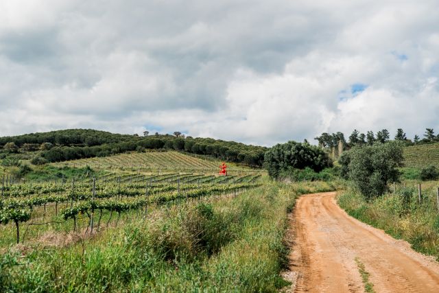Müge Yilmaz, 'Goddess of Harvest', 2025. Photo by Lais Pereira