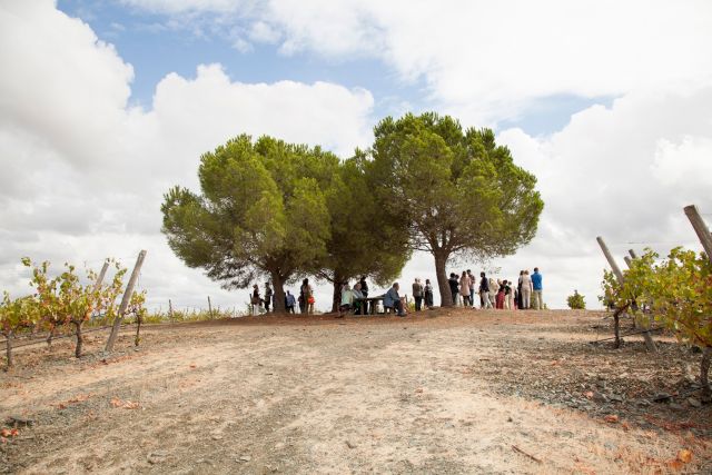 Inauguration: Susan Philipsz, 'Tomorrow's Sky', three channel sound installation, 2019. Photo by Joeri van Beek