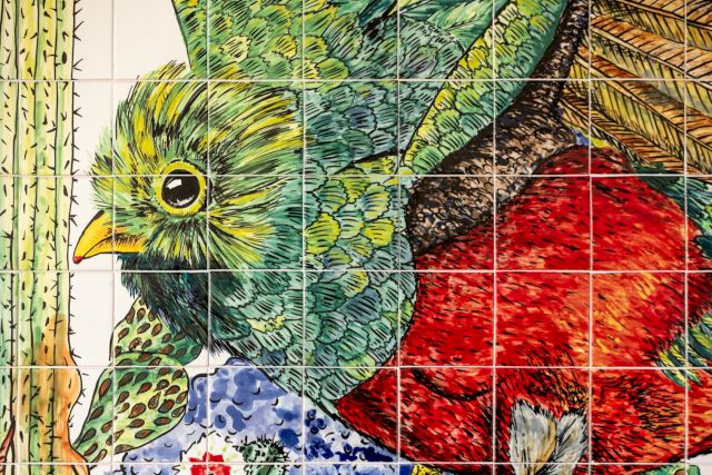 Henriette Arcelin, 'Quetzal bird and jungle', 2016. Photo by João Silva